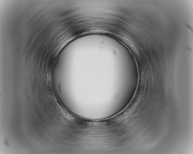 X0000096421281200802071654