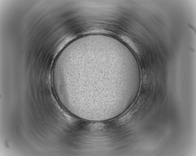 X0000096421282200802071654