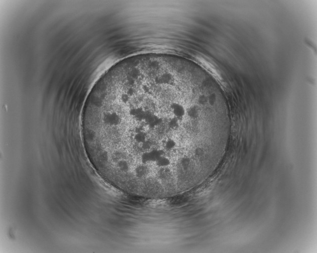 X0000096421283200802071654