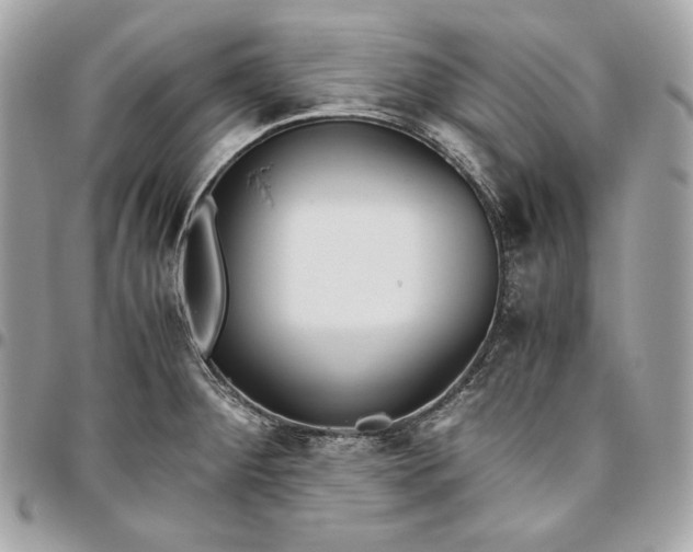 X0000096421284200802071654