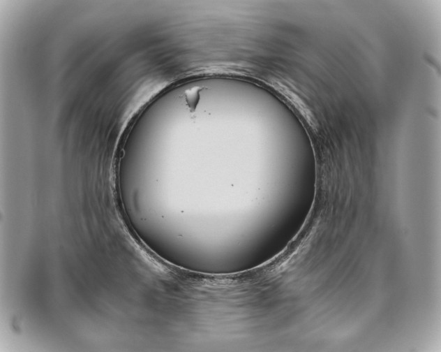 X0000096421285200802071654