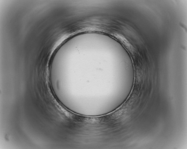 X0000096421286200802071654