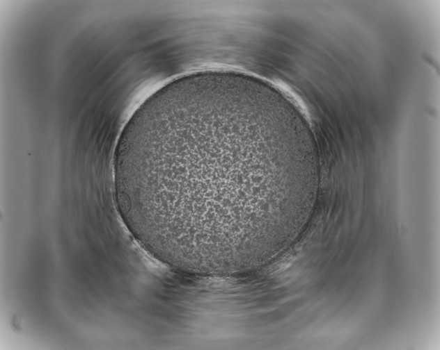 X0000096421287200802071654