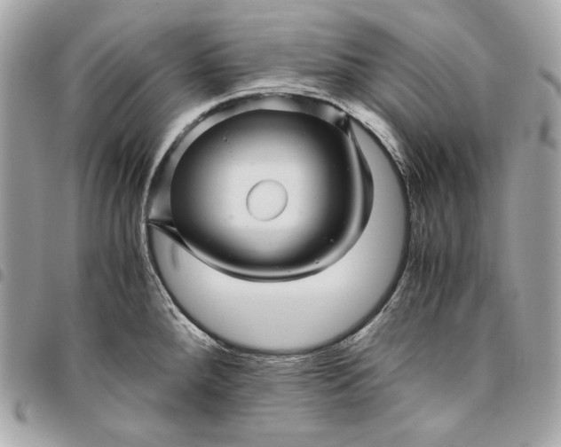 X0000096421288200802071654