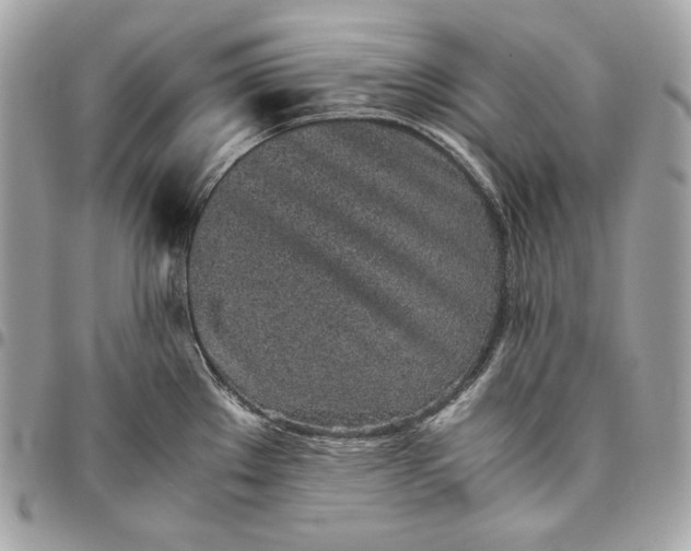 X0000096421289200802071654