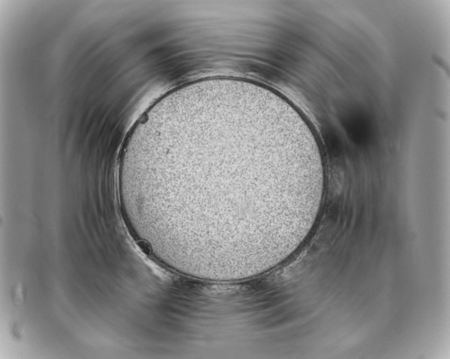 X0000096421290200802071654