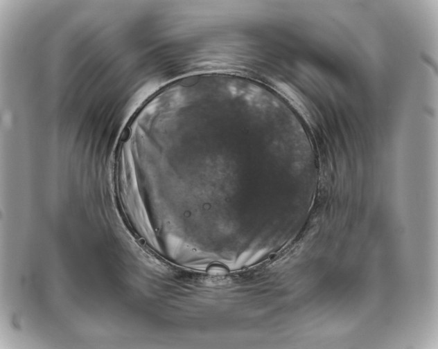 X0000096421291200802071654