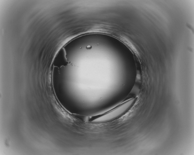 X0000096421292200802071654