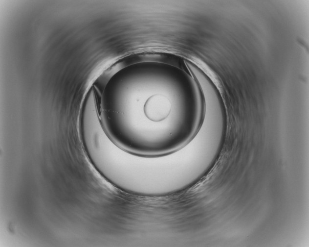 X0000096421293200802071654