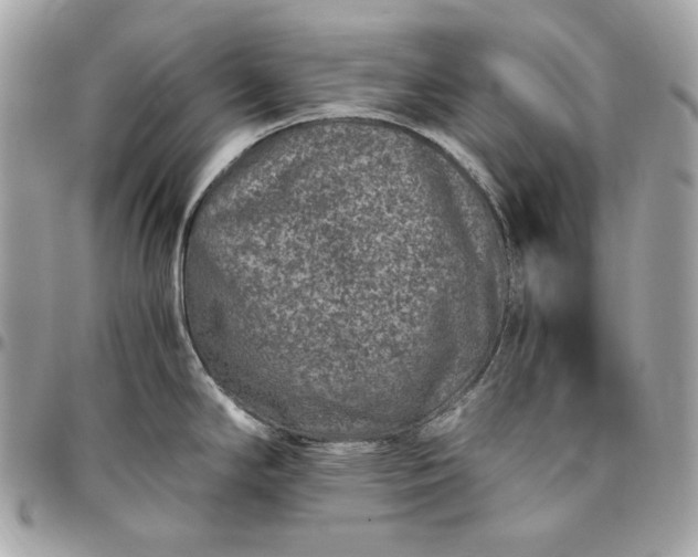 X0000096421294200802071654