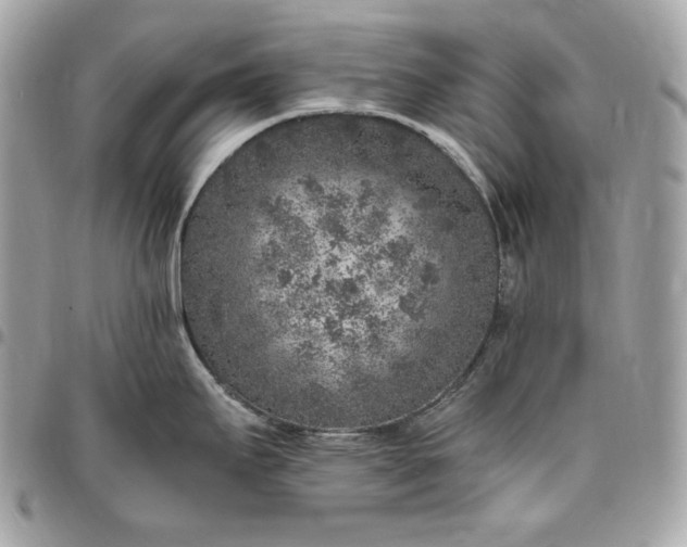 X0000096421295200802071654