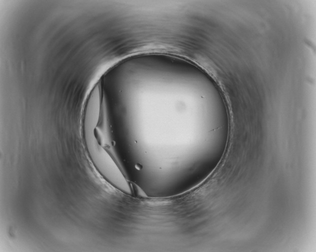 X0000096421296200802071654