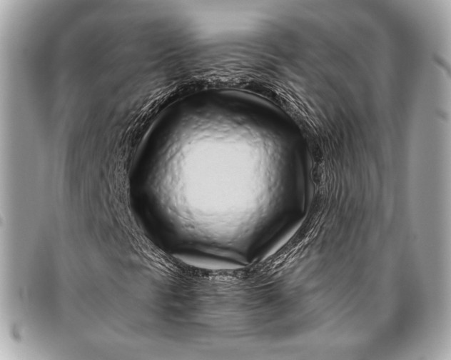 X0000096421297200802071653