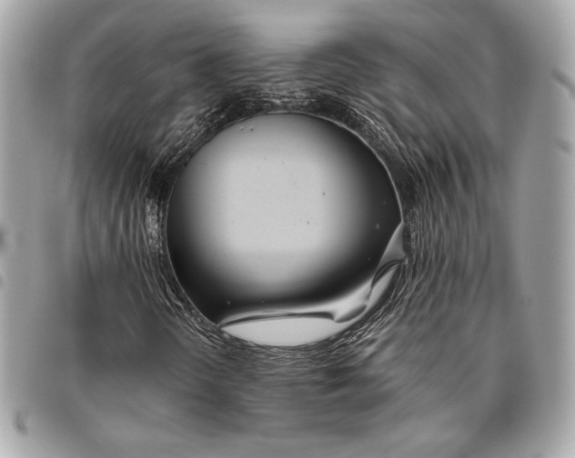 X0000096421298200802071653