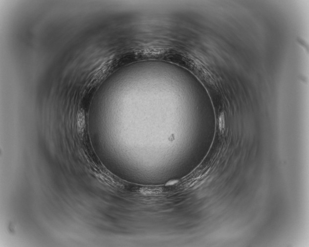 X0000096421299200802071653