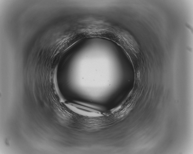 X0000096421300200802071653