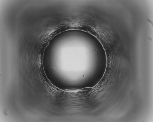 X0000096421301200802071653