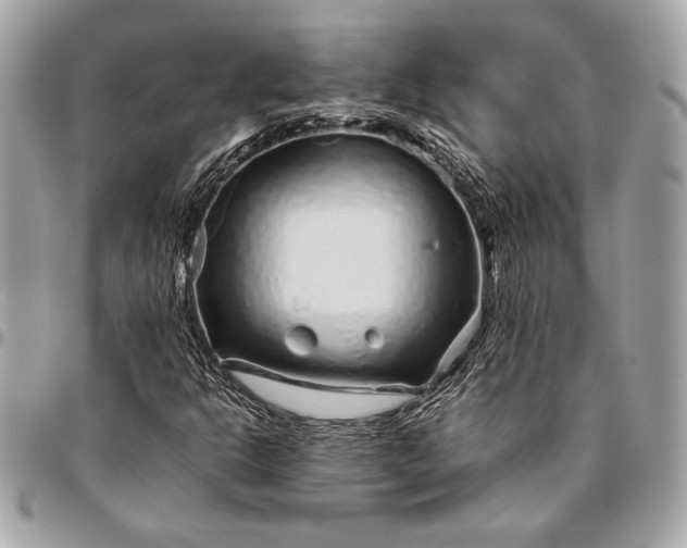 X0000096421302200802071653