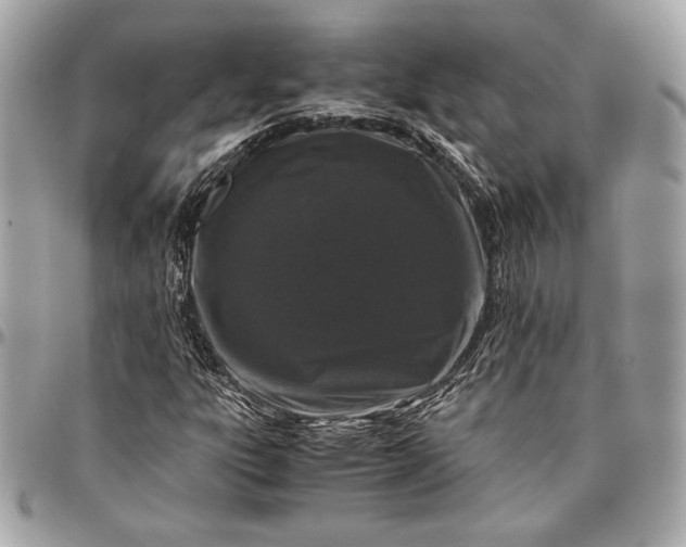 X0000096421303200802071653