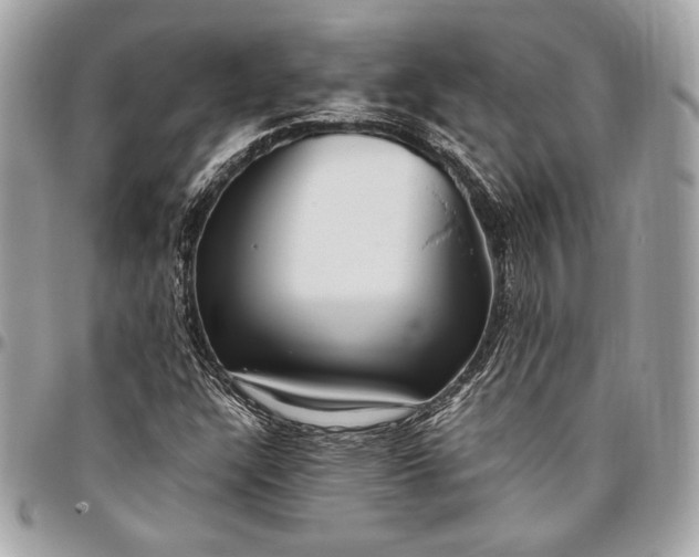 X0000096421304200802071653