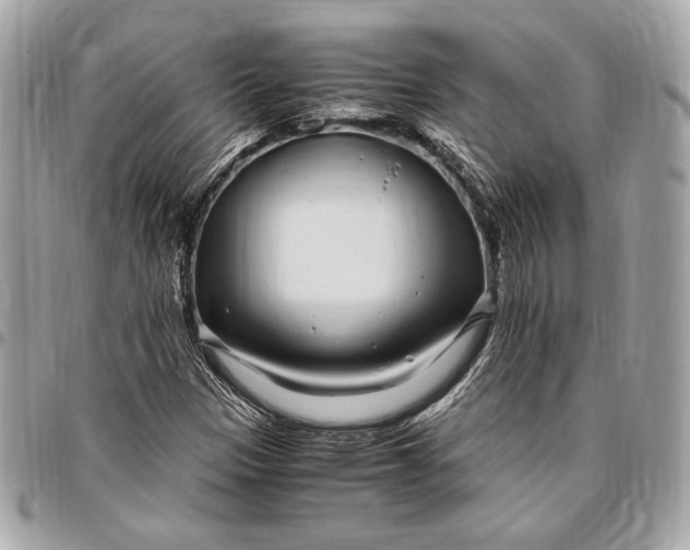 X0000096421305200802071653