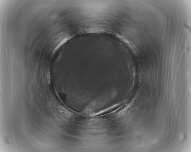 X0000096421306200802071653