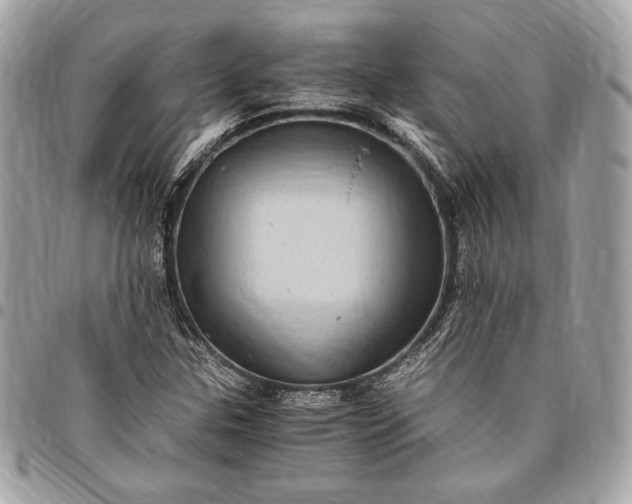 X0000096421307200802071653