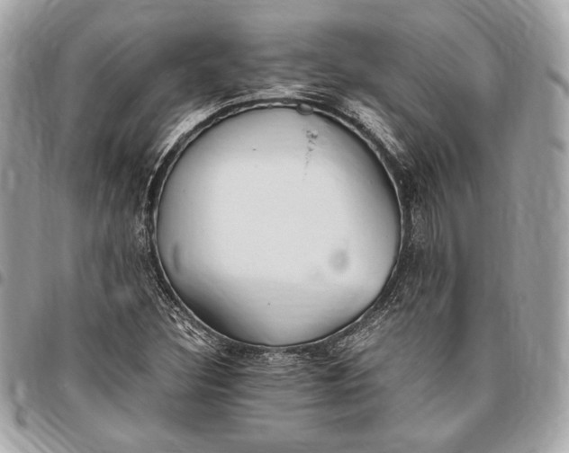 X0000096421308200802071653