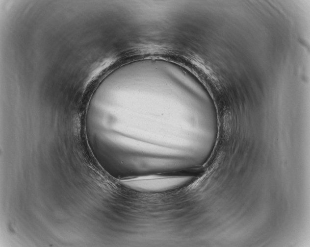 X0000096421309200802071653