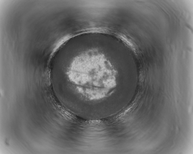 X0000096421310200802071653