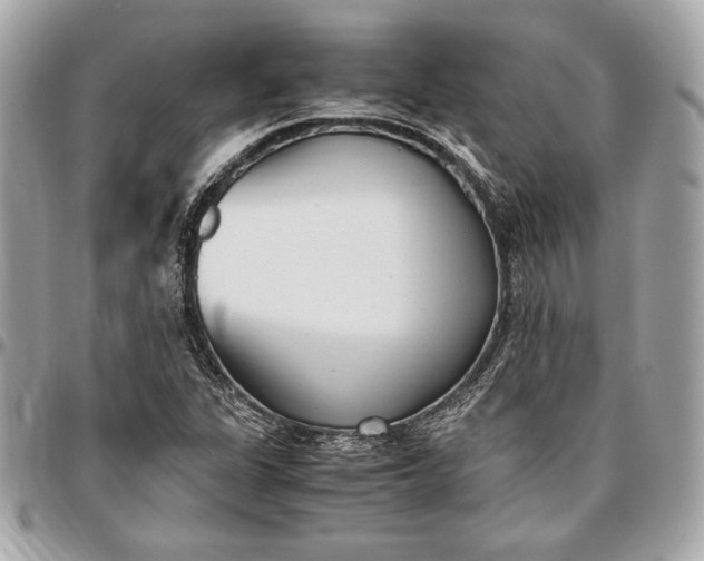 X0000096421311200802071653