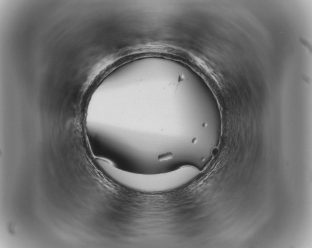 X0000096421312200802071653