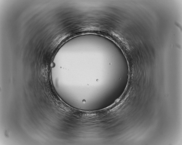 X0000096421313200802071653