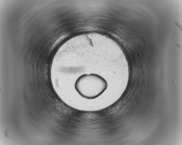 X0000096421314200802071653