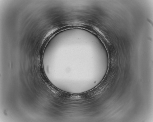 X0000096421315200802071653