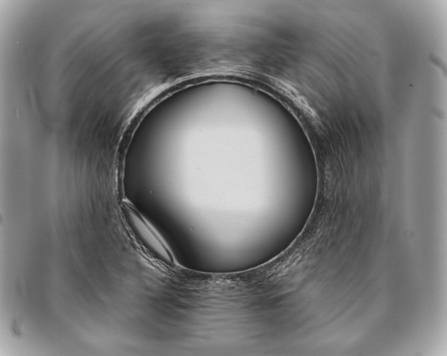 X0000096421316200802071653