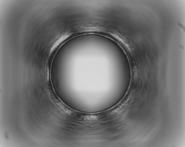 X0000096421317200802071653