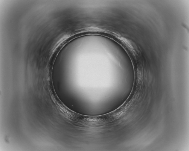 X0000096421318200802071653