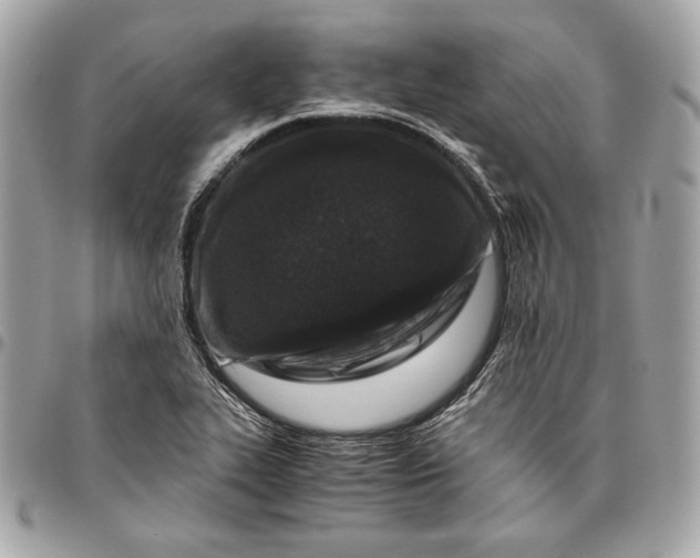 X0000096421319200802071654