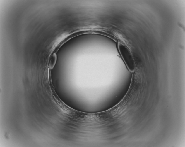 X0000096421320200802071654