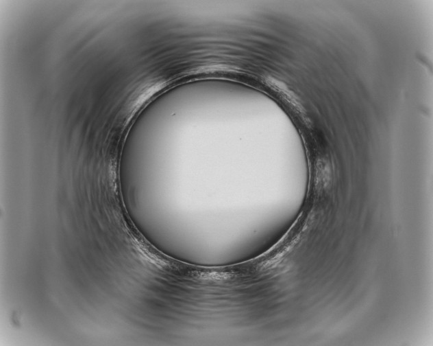 X0000096421321200802071654