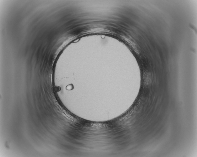 X0000096421322200802071654