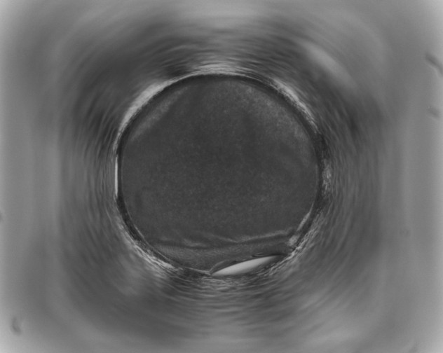 X0000096421323200802071654