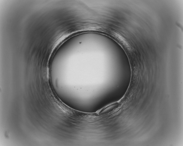 X0000096421324200802071654