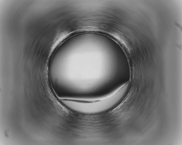 X0000096421325200802071654