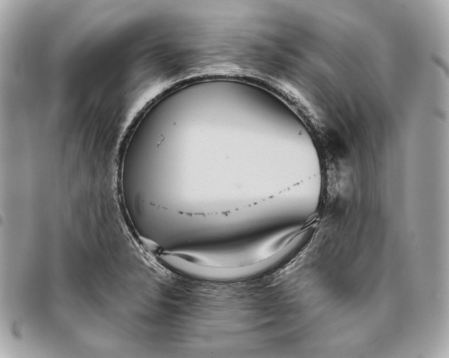 X0000096421326200802071654