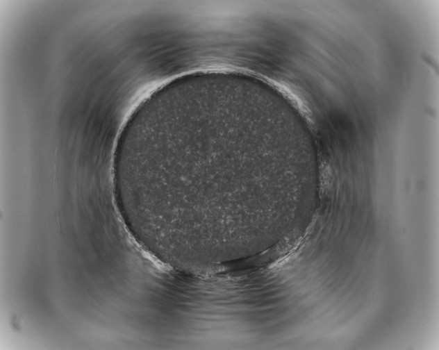 X0000096421327200802071654