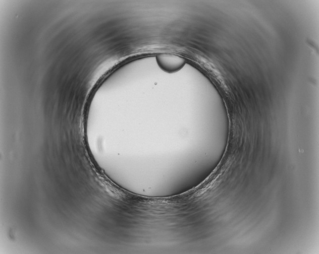 X0000096421328200802071654