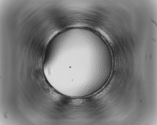 X0000096421329200802071654