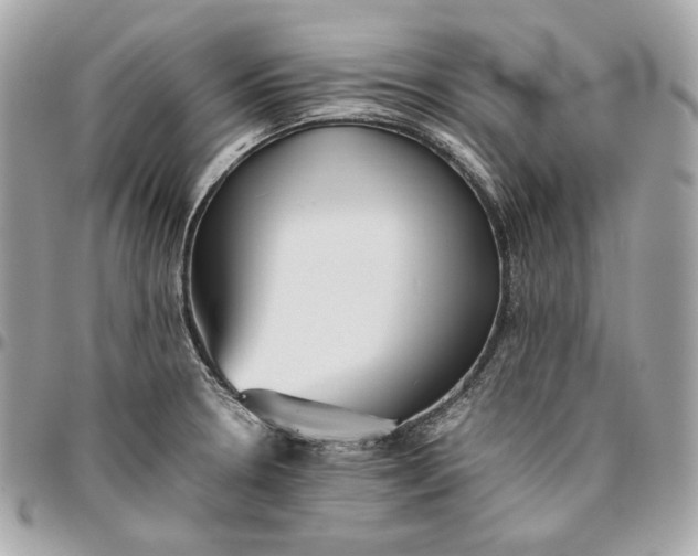 X0000096421330200802071654